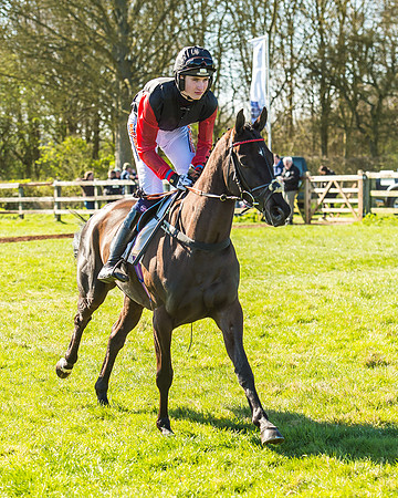 Race 2 - Open Maiden Race-31