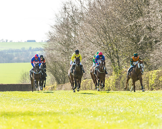 Race 2 - Open Maiden Race-36