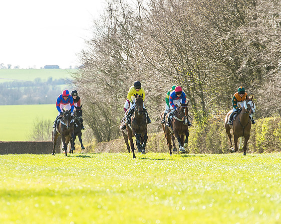 Race 2 - Open Maiden Race-37