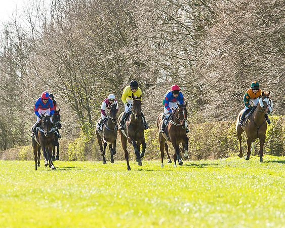 Race 2 - Open Maiden Race-38