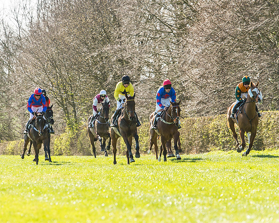 Race 2 - Open Maiden Race-39