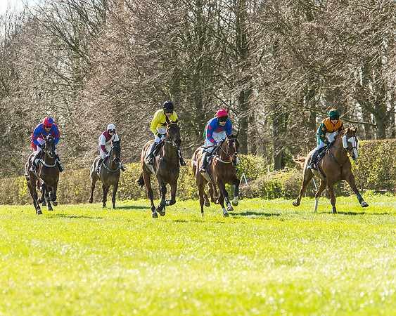Race 2 - Open Maiden Race-40