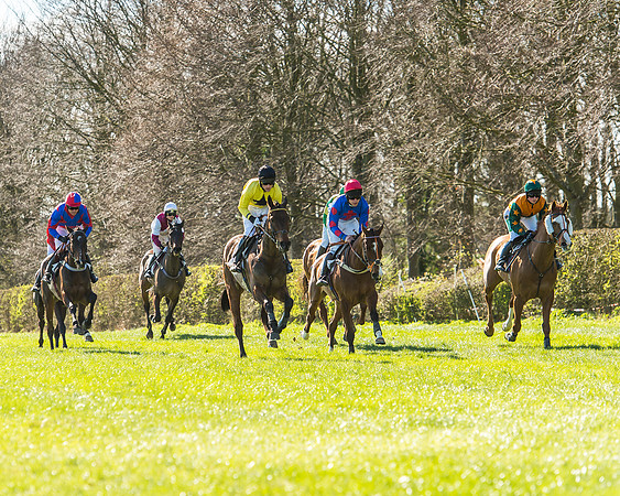 Race 2 - Open Maiden Race-41