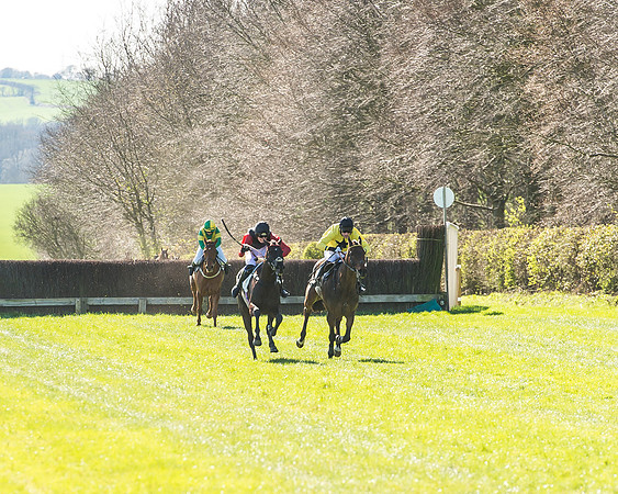 Race 2 - Open Maiden Race-56