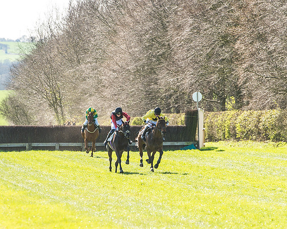 Race 2 - Open Maiden Race-57