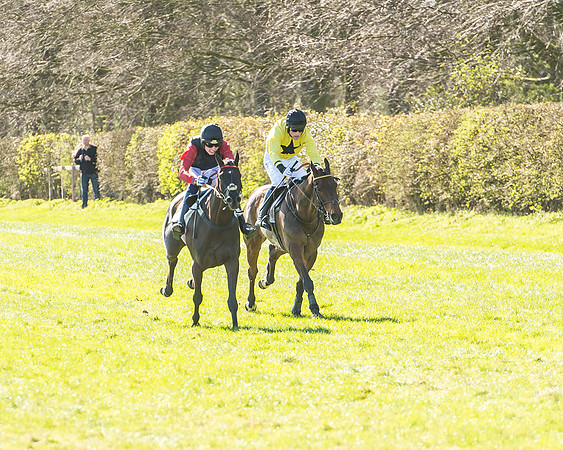 Race 2 - Open Maiden Race-58