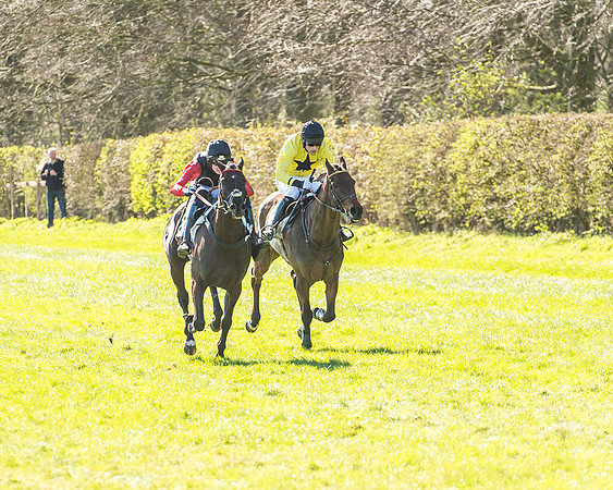 Race 2 - Open Maiden Race-59