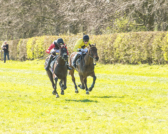 Race 2 - Open Maiden Race-60