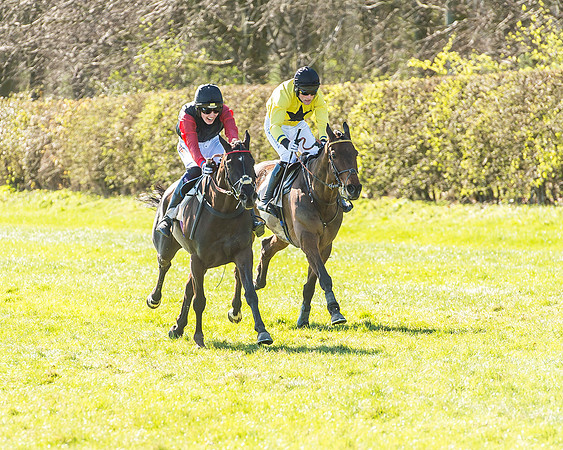 Race 2 - Open Maiden Race-61