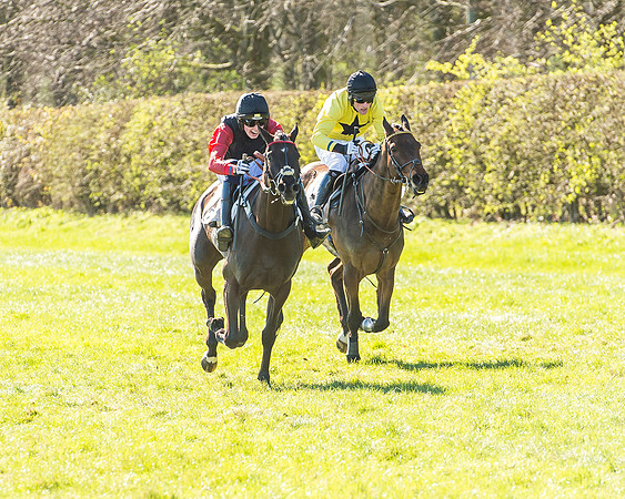 Race 2 - Open Maiden Race-62
