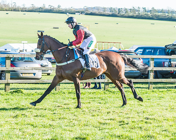 Race 6 - PPORA Club Members Novices Race-17