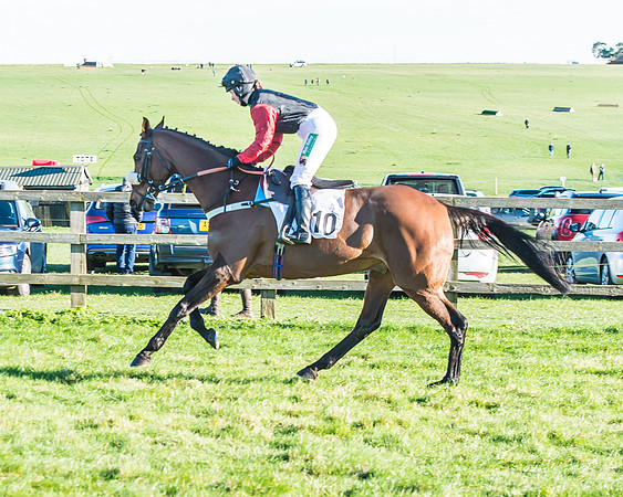 Race 6 - PPORA Club Members Novices Race-19
