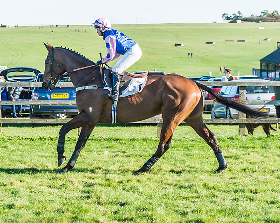 Race 6 - PPORA Club Members Novices Race-25