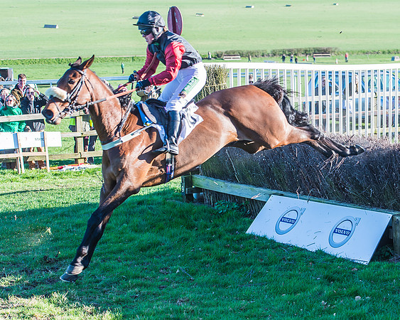 Race 6 - PPORA Club Members Novices Race-63