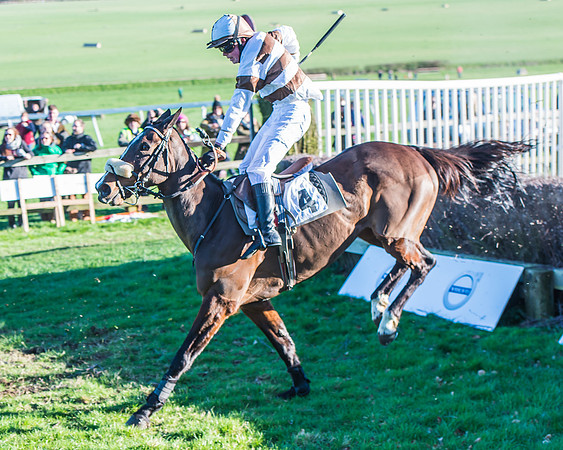 Race 6 - PPORA Club Members Novices Race-65