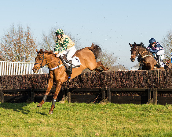 Race 2 - PPORA Novice Riders  (90 of 205)