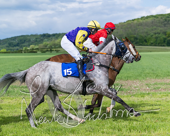 Race 5 - Restricted Race (219 of 434)