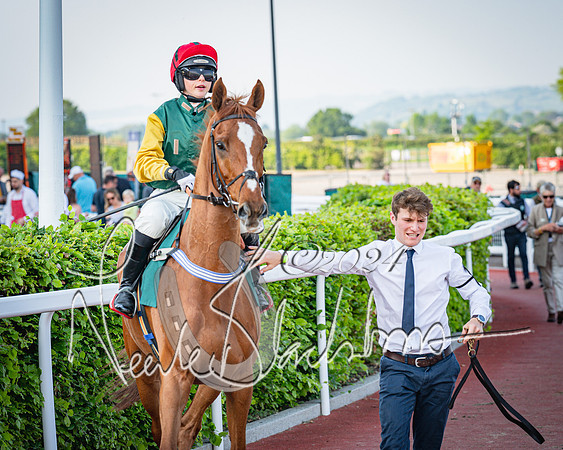 Race 3 - The Junior Jumpers open hunter's steeple chase 3m1f56y (41 of 156)