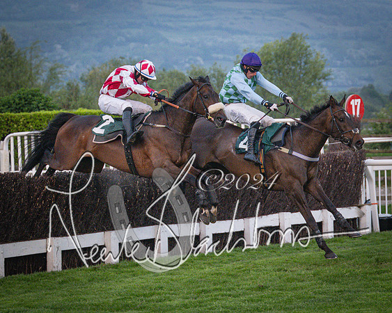 Race - 7 The Royal Gloucester Hussars Open Hunter's steeplechase 2m4f 127y (114 of 210)