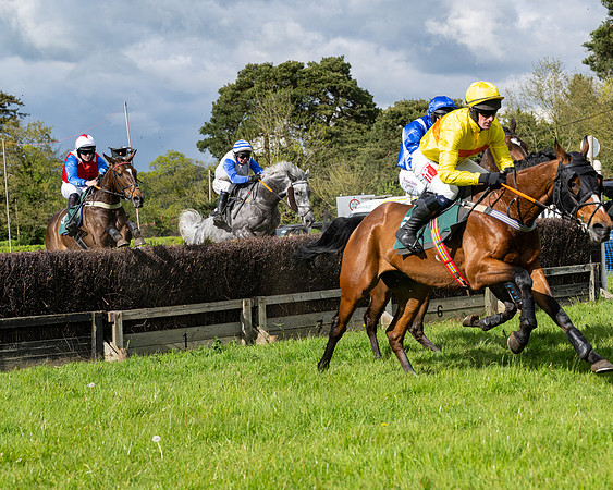 Race 5  - Maiden  (25 of 84)