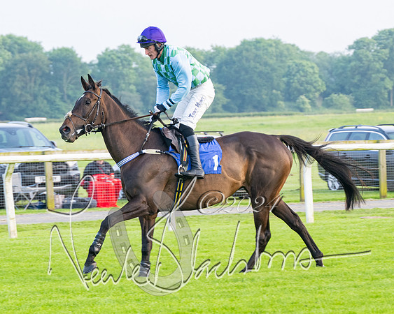 Race 5 - Peter Wright Handicap (29 of 117)