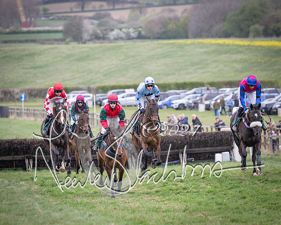 Race 6 - The Restricted Race (31 of 101)