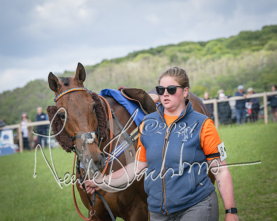 Race 4 - The Dickie Lim Mixed Open Race (12 of 101)