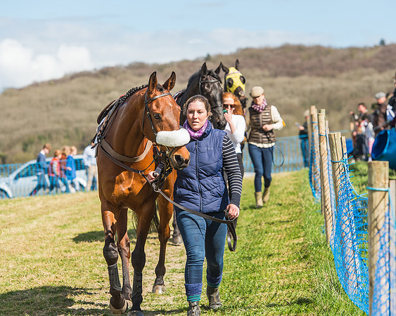 Race 1 - Confined Hunts Race-5