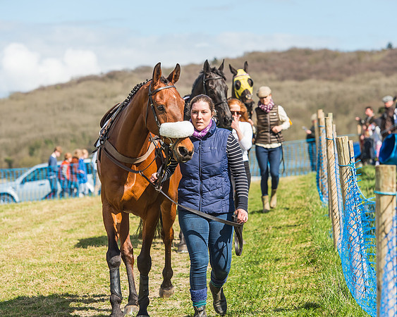 Race 1 - Confined Hunts Race-6