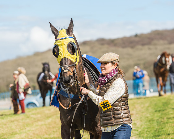 Race 1 - Confined Hunts Race-12