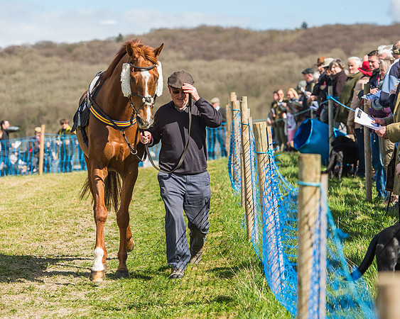 Race 1 - Confined Hunts Race-15