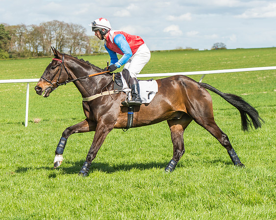 Race 1 - Confined Hunts Race-27