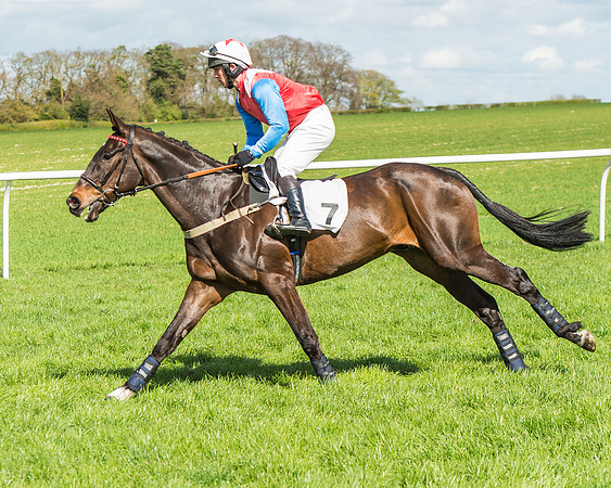 Race 1 - Confined Hunts Race-28