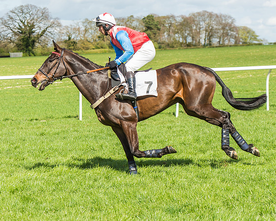 Race 1 - Confined Hunts Race-29