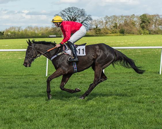 Race 1 - Confined Hunts Race-30