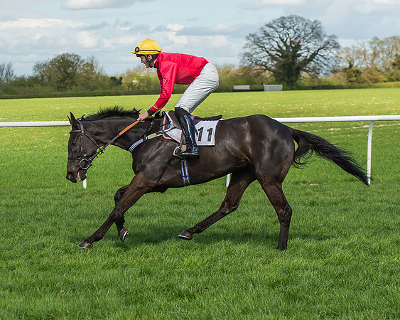 Race 1 - Confined Hunts Race-31