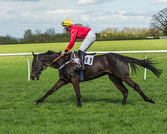 Race 1 - Confined Hunts Race-32