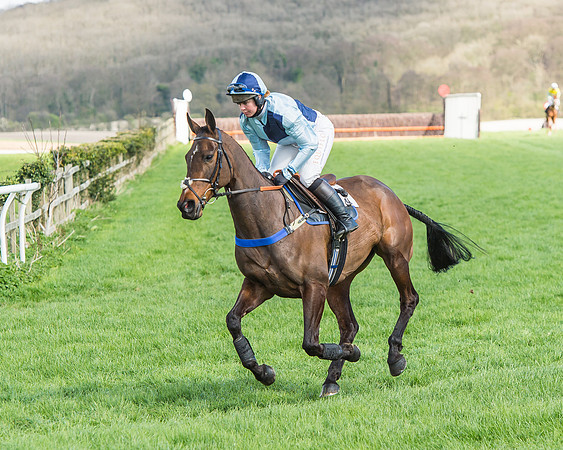 Race 1 - Confined Hunts Race-33