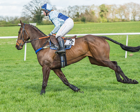 Race 1 - Confined Hunts Race-37