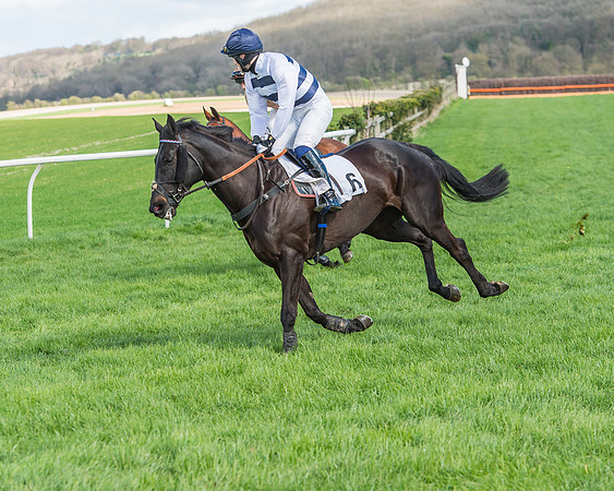 Race 1 - Confined Hunts Race-38