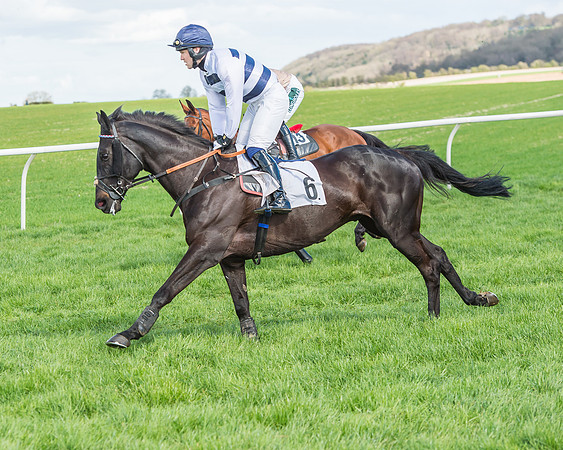 Race 1 - Confined Hunts Race-41