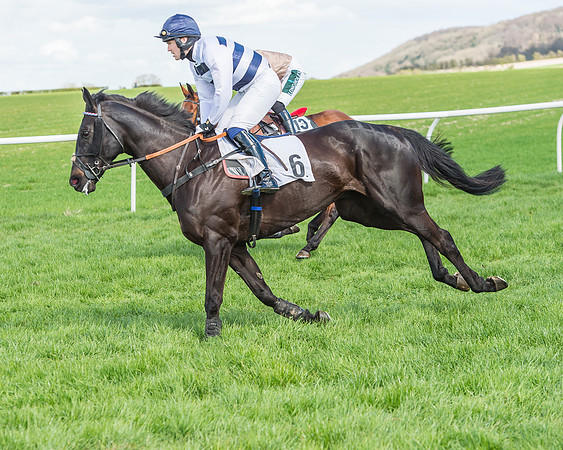 Race 1 - Confined Hunts Race-42