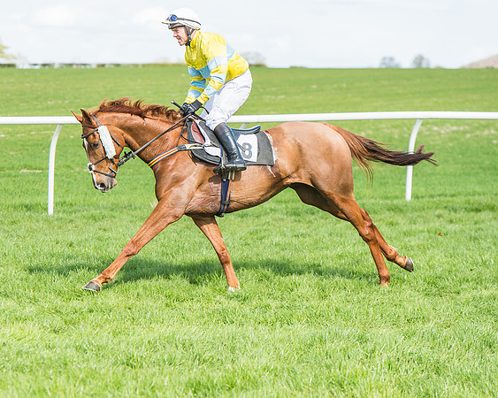 Race 1 - Confined Hunts Race-43