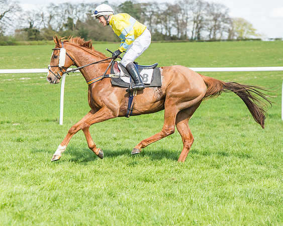 Race 1 - Confined Hunts Race-44