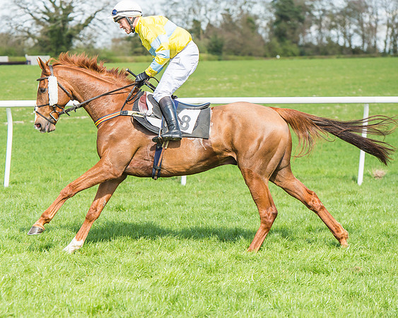 Race 1 - Confined Hunts Race-45
