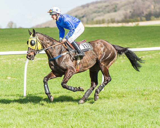 Race 1 - Confined Hunts Race-46