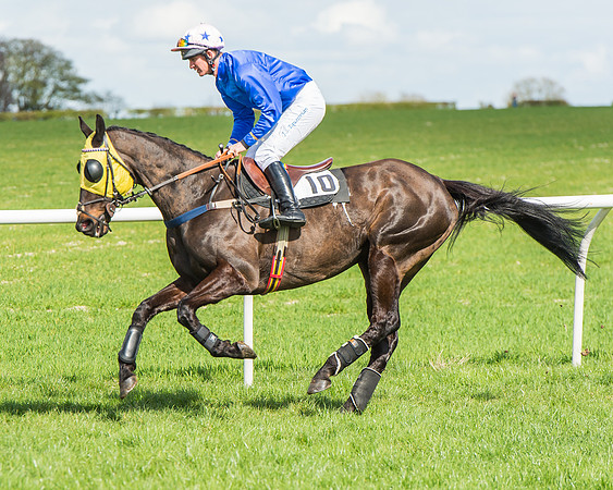 Race 1 - Confined Hunts Race-47