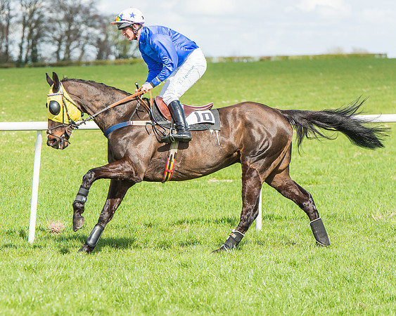 Race 1 - Confined Hunts Race-48
