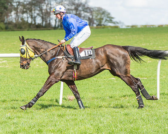 Race 1 - Confined Hunts Race-49
