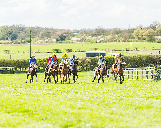 Race 1 - Confined Hunts Race-52